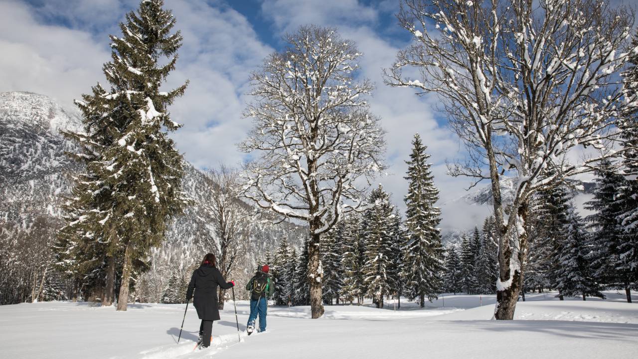 Ski-Langlaufen am Achensee