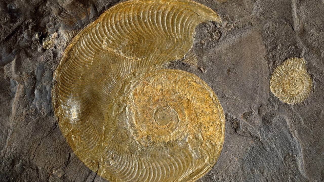 Silberbergwerk Schwaz