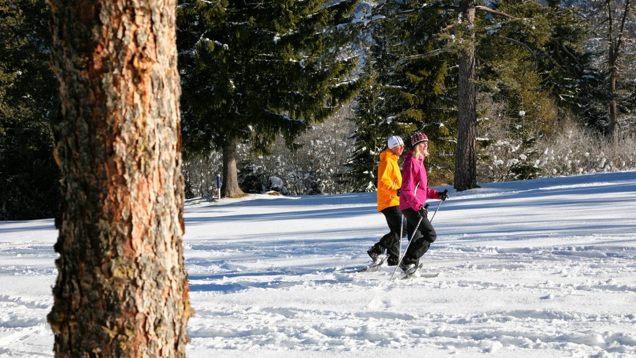 Schneeschuhwandern am Achensee