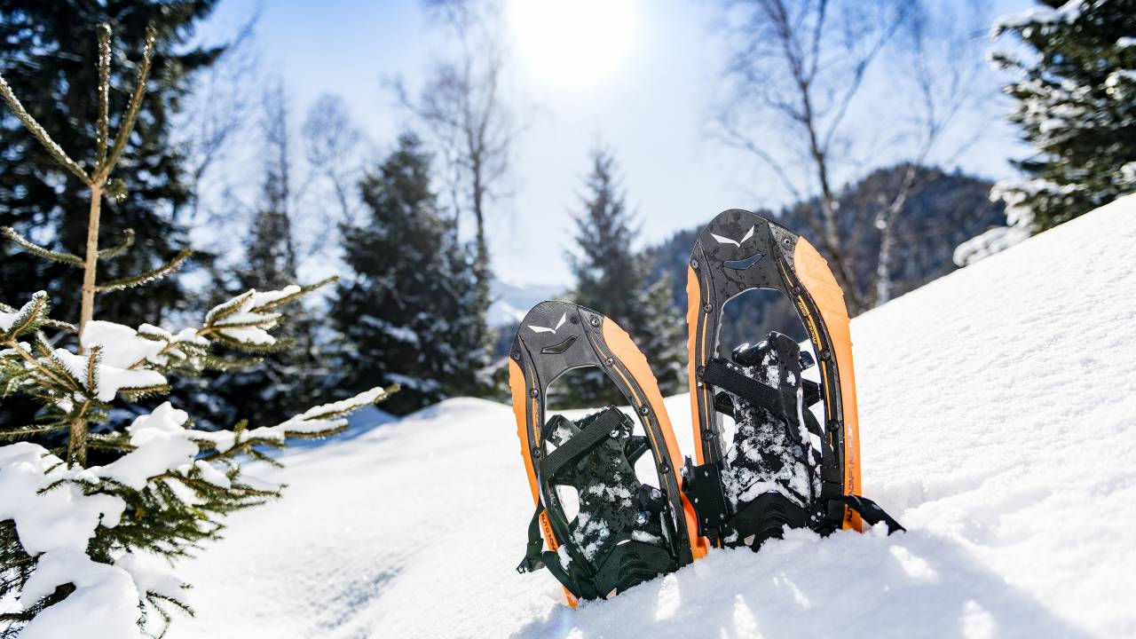 Rucksack aus Leder zum Wandern